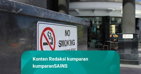 Apa Yang Terjadi Pada Tubuh Saat Berhenti Merokok Kumparan Apa Yang Terjadi Pada Tubuh Saat Berhenti Merokok Kumparan